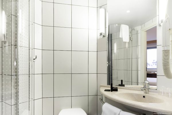 Hotel ibis Saint Petersburg Centre (Sankt-Peterburg)